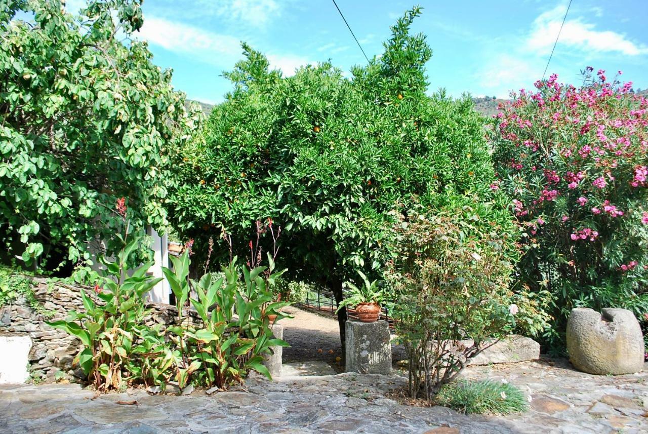فيلا Casa De Mendiz Vale de Mendiz المظهر الخارجي الصورة