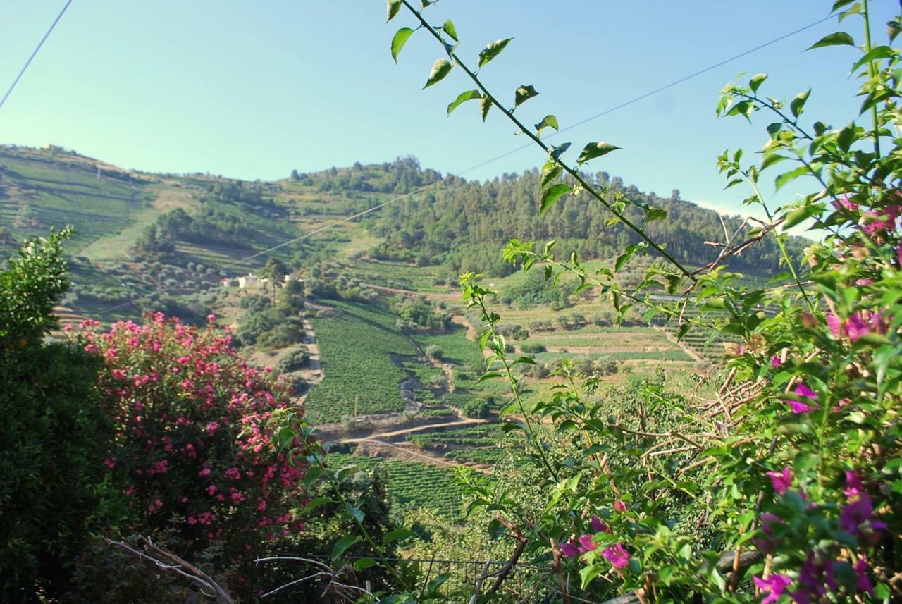 فيلا Casa De Mendiz Vale de Mendiz المظهر الخارجي الصورة